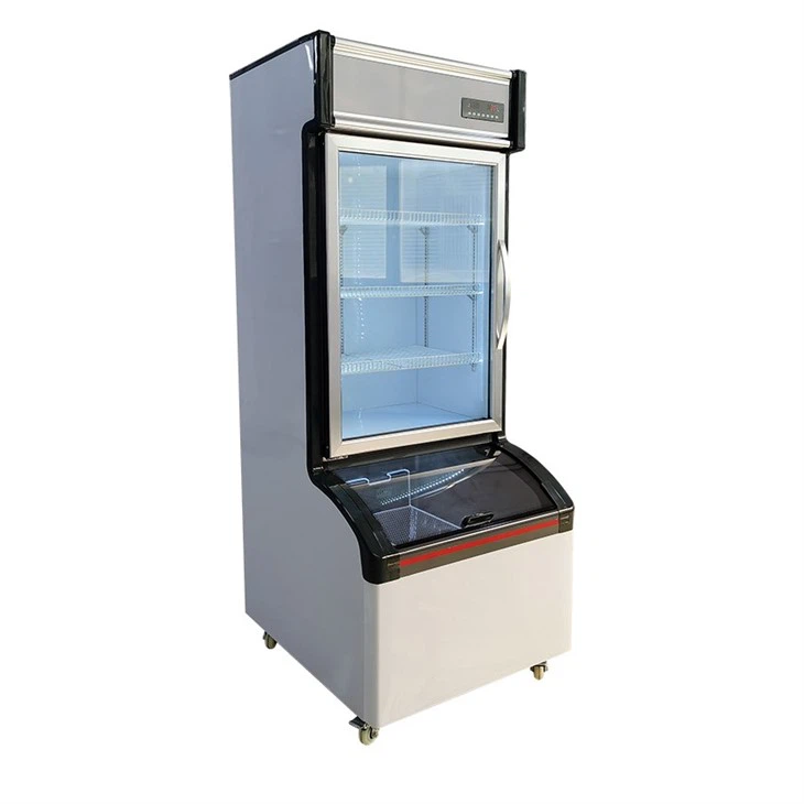 Restaurant Upright Glass Door Freezer